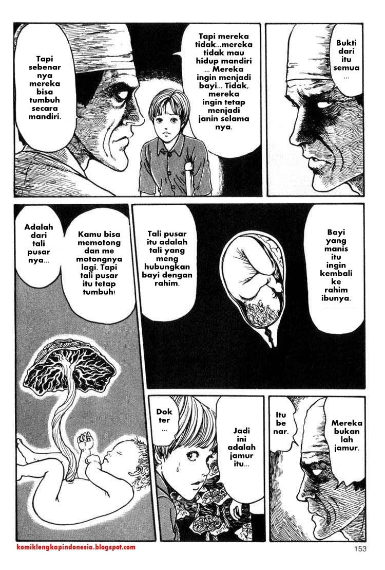 Chapter 11 - halaman 24