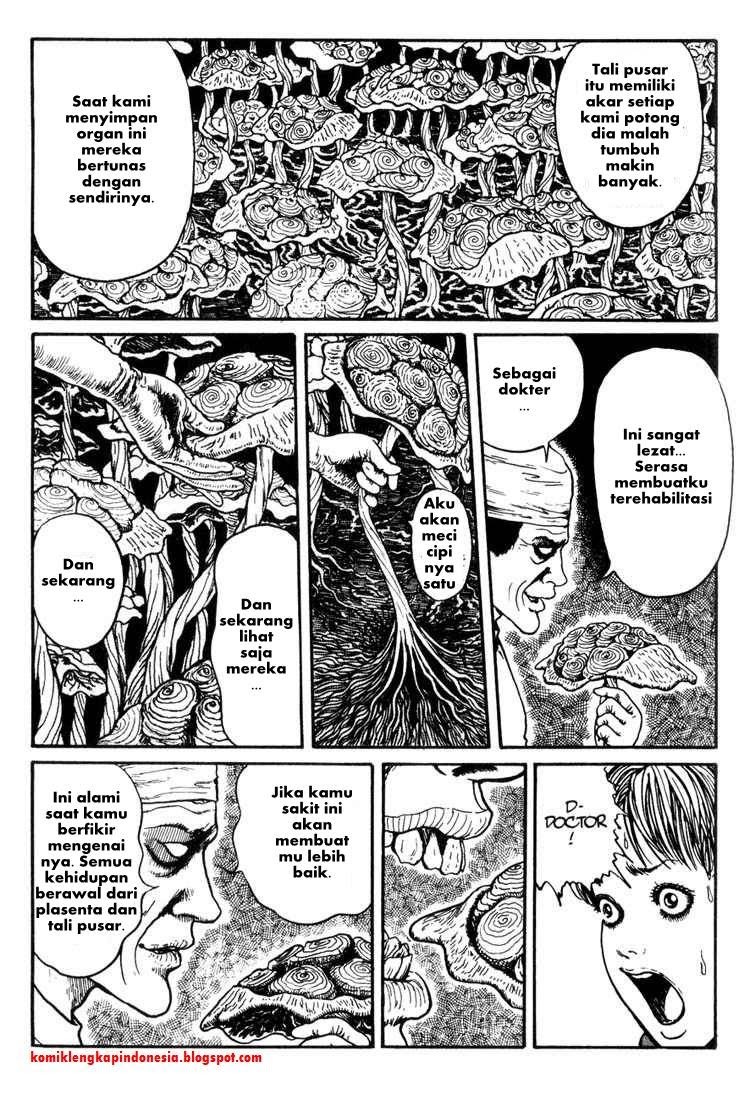 Chapter 11 - halaman 25