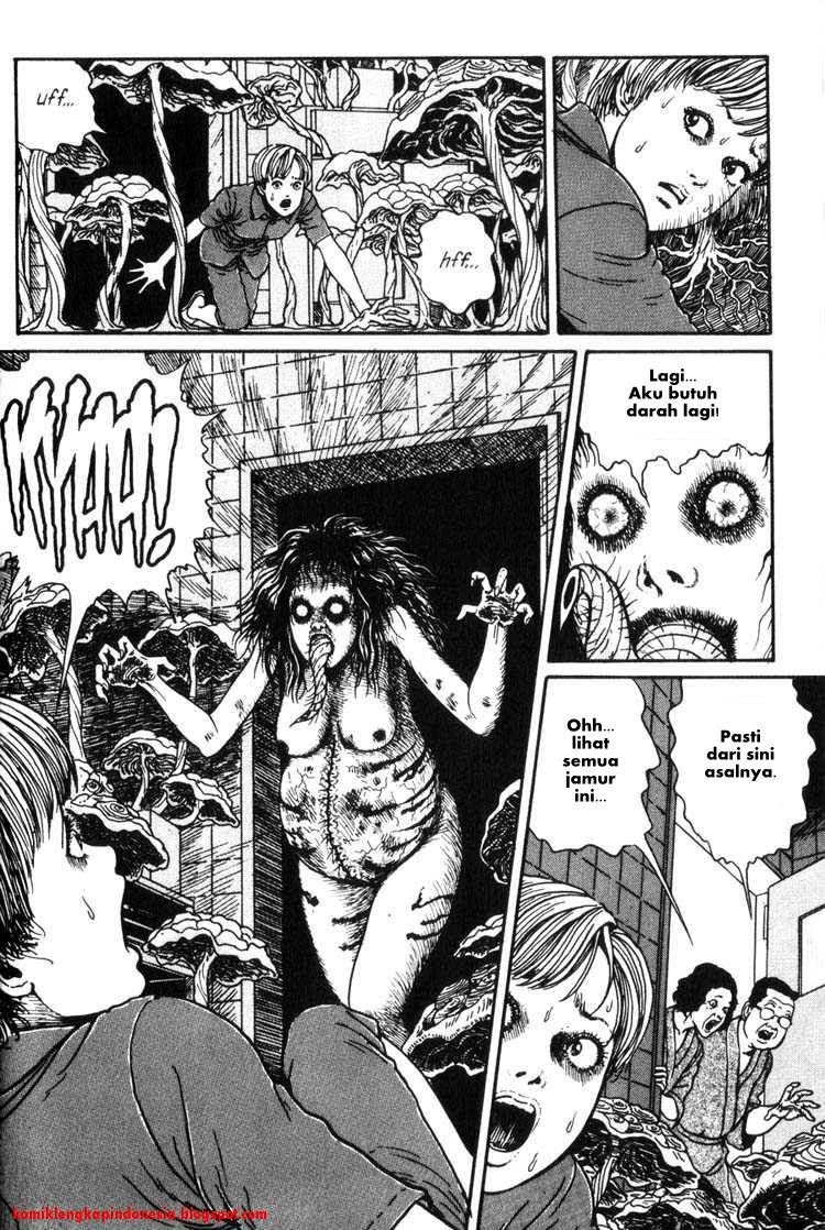 Chapter 11 - halaman 32