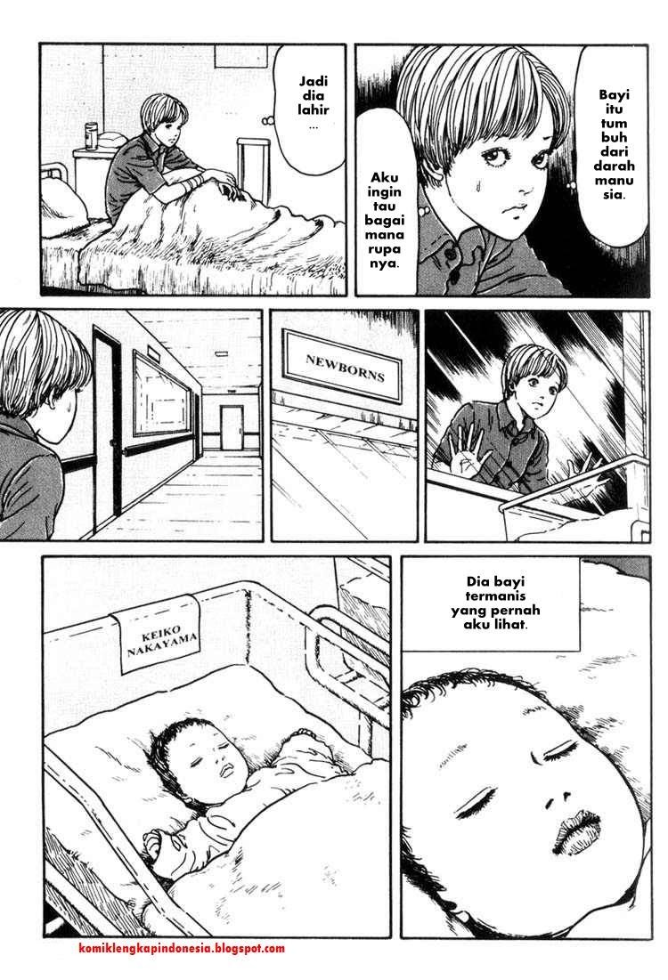 Chapter 11 - halaman 7