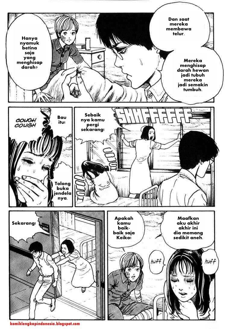 Chapter 10 - halaman 16