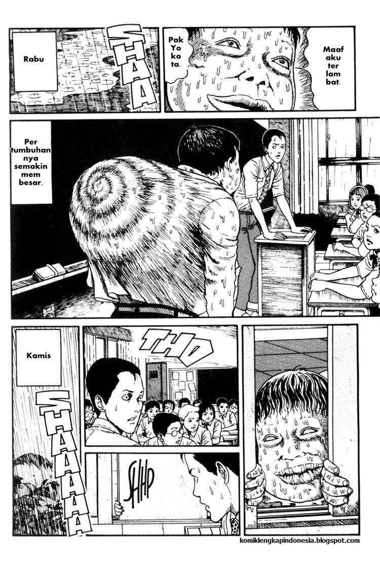Chapter 8 - halaman 12