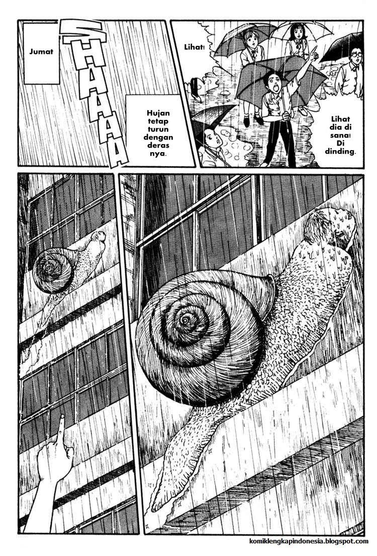 Chapter 8 - halaman 15