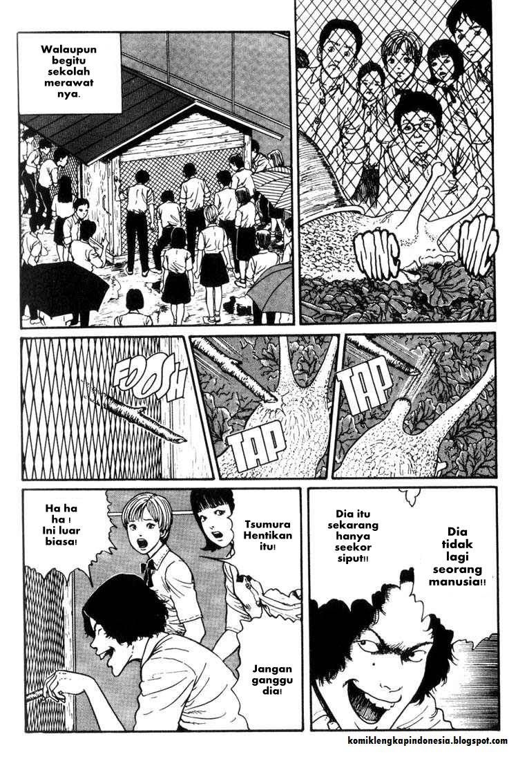 Chapter 8 - halaman 20