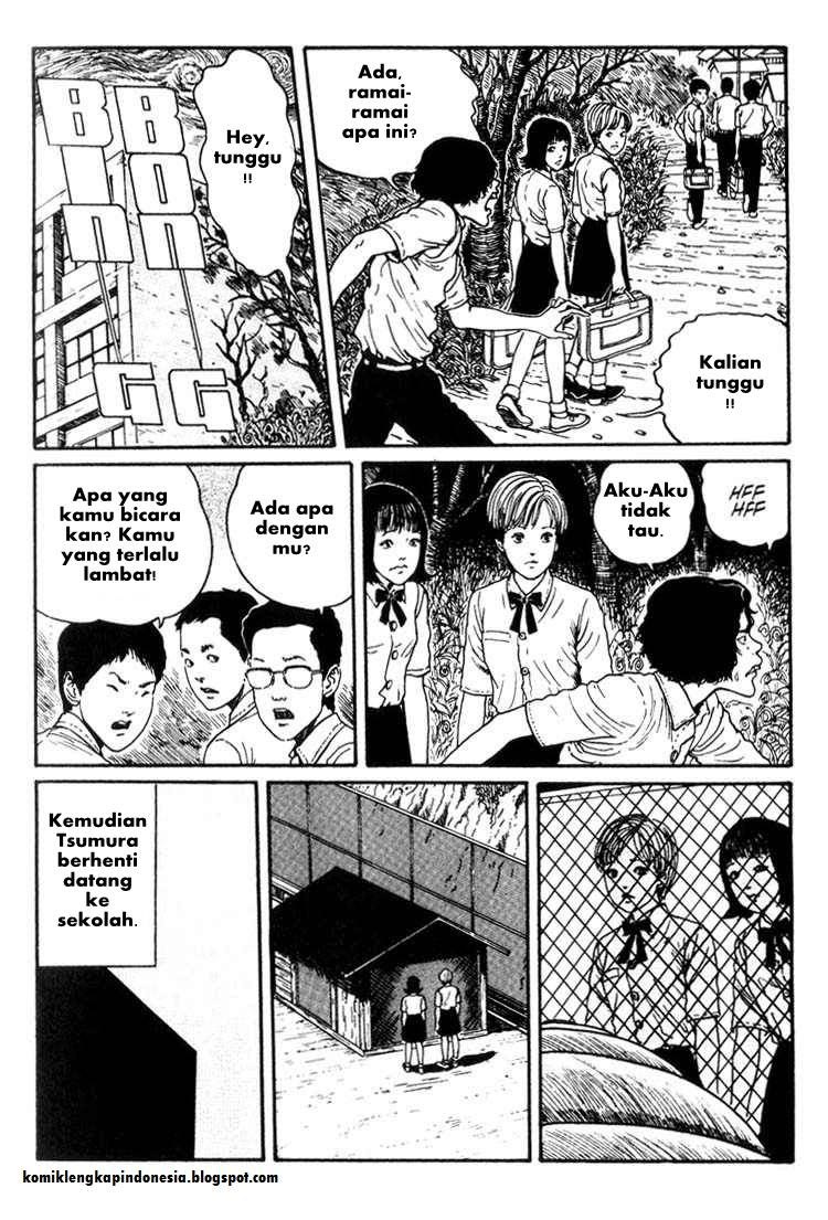 Chapter 8 - halaman 22