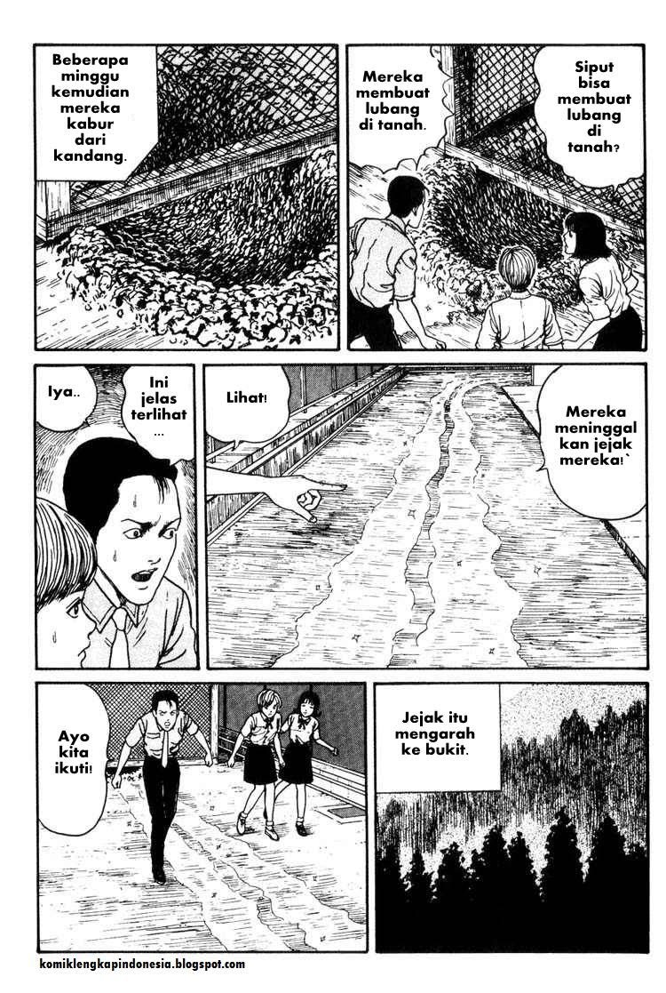 Chapter 8 - halaman 29