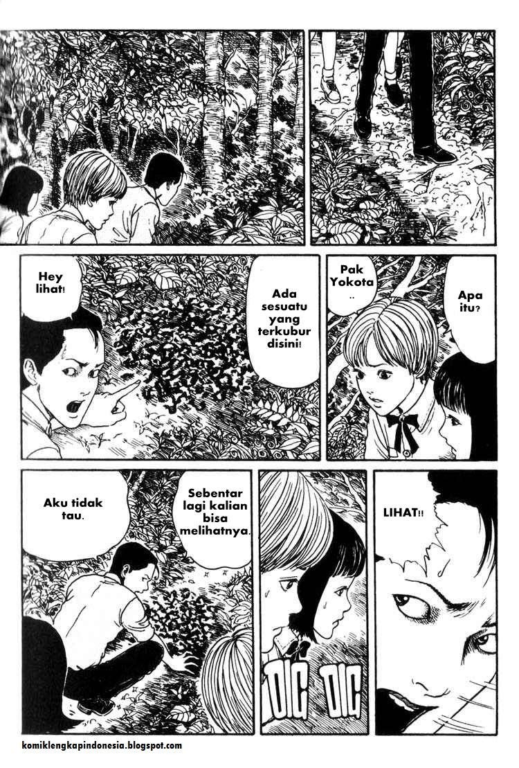 Chapter 8 - halaman 30