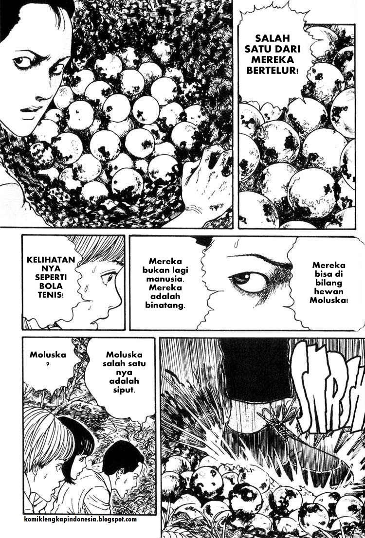 Chapter 8 - halaman 31