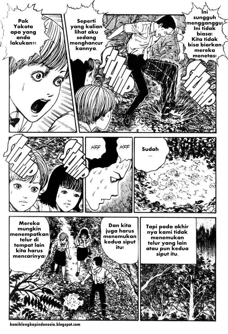 Chapter 8 - halaman 32