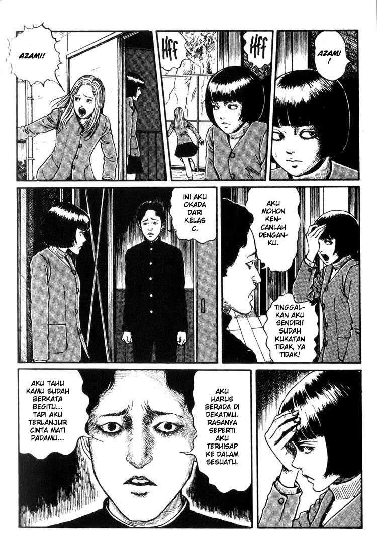 Chapter 3 - halaman 23