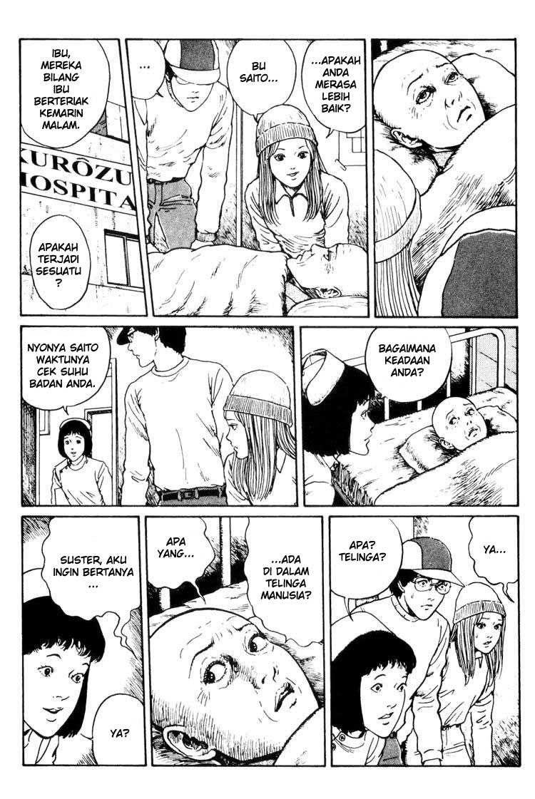 Chapter 2 - halaman 21