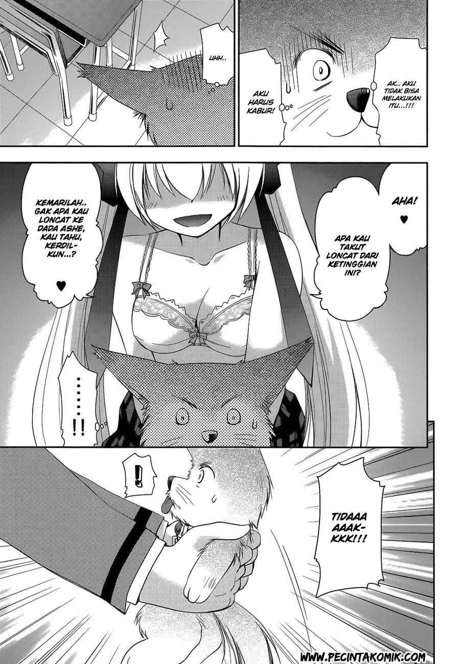 Chapter 15 - halaman 17
