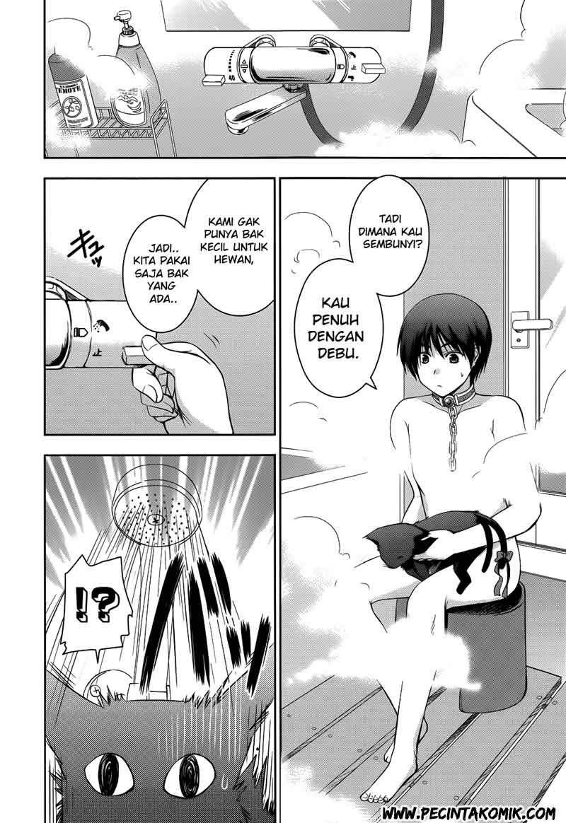 Chapter 11 - halaman 15