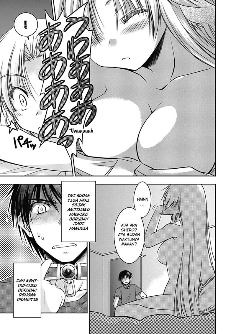 Chapter 2 - halaman 5