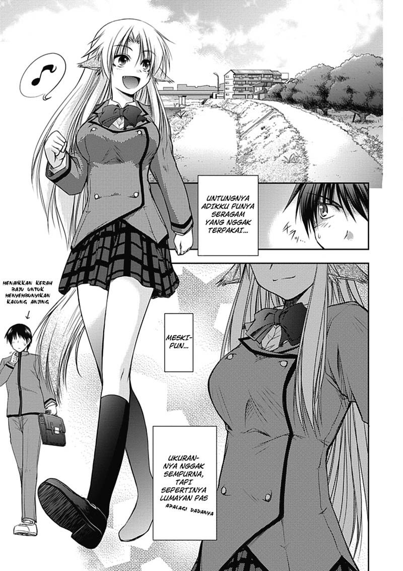 Chapter 2 - halaman 9
