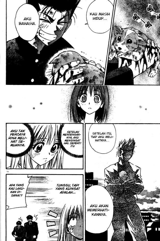 Chapter 10 - halaman 15