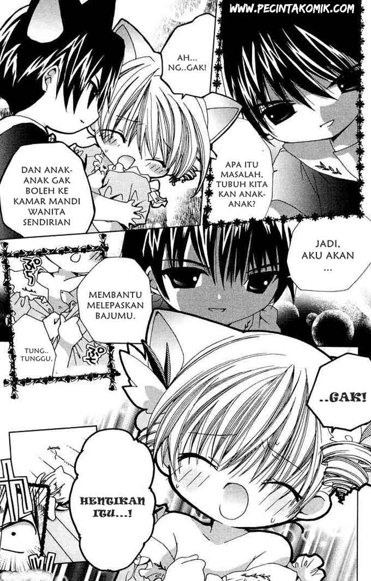 Chapter 3 - halaman 22