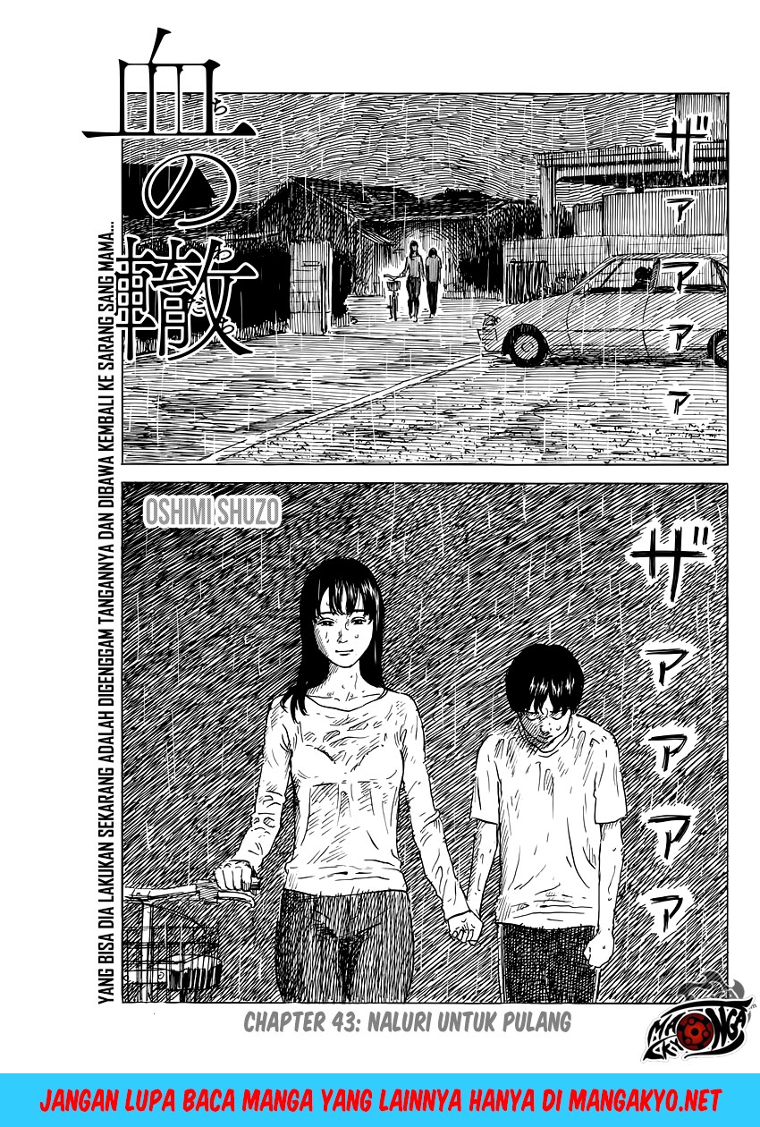 Chapter 43 - halaman 3