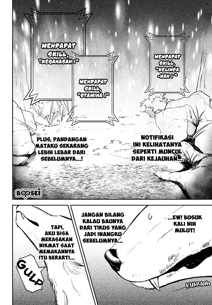 Chapter 2.1 - halaman 9