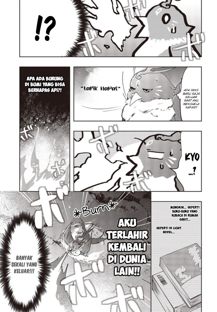 Chapter 2 - halaman 19