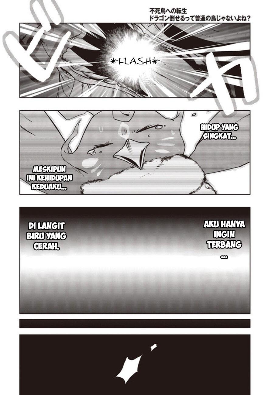 Chapter 2 - halaman 28