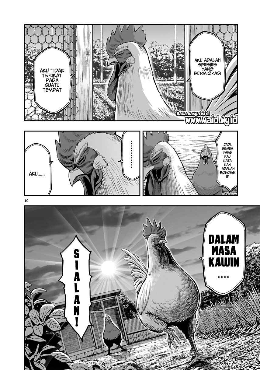 Chapter 1 - halaman 13