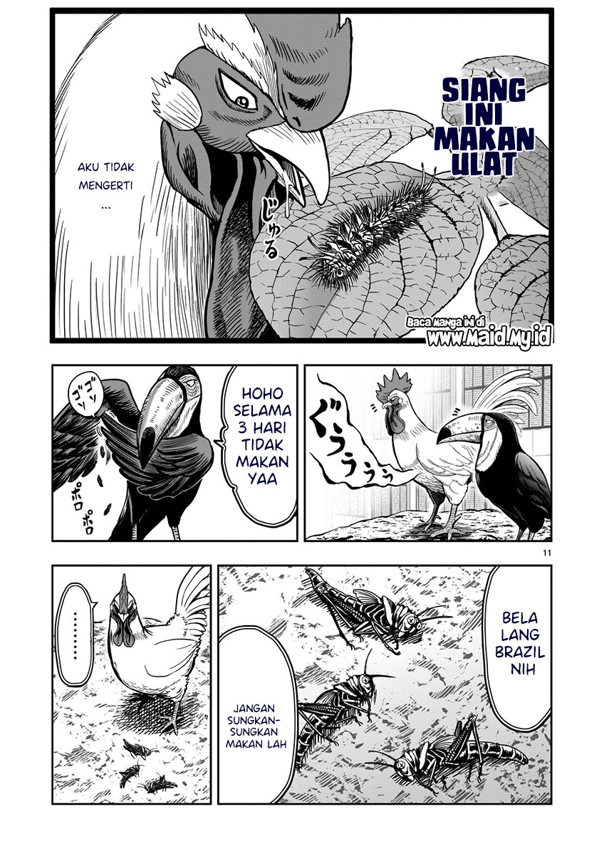 Chapter 3 - halaman 13