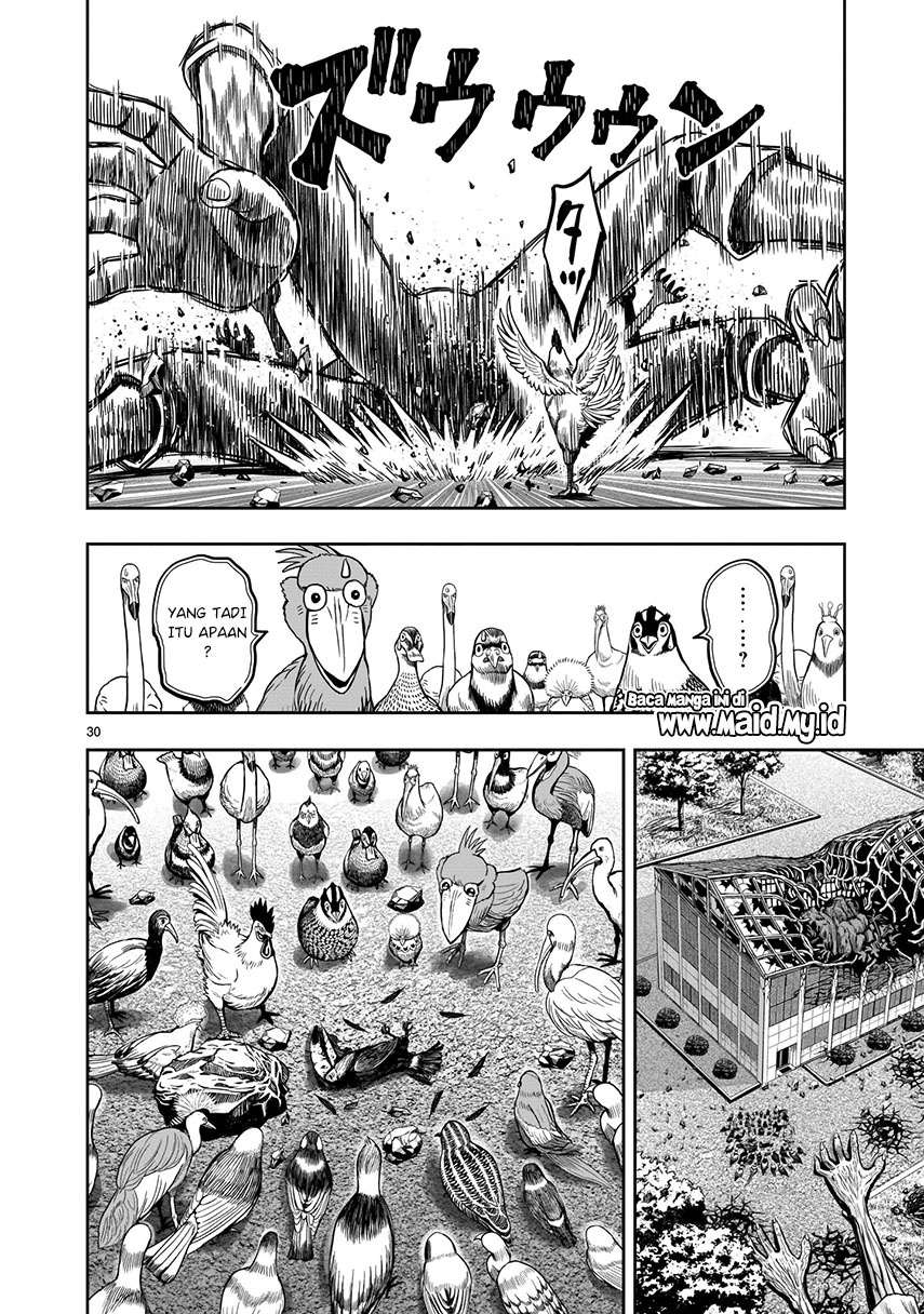 Chapter 3 - halaman 31