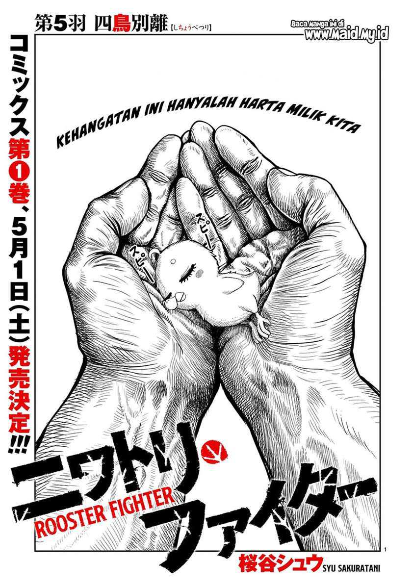 Chapter 5 - halaman 4