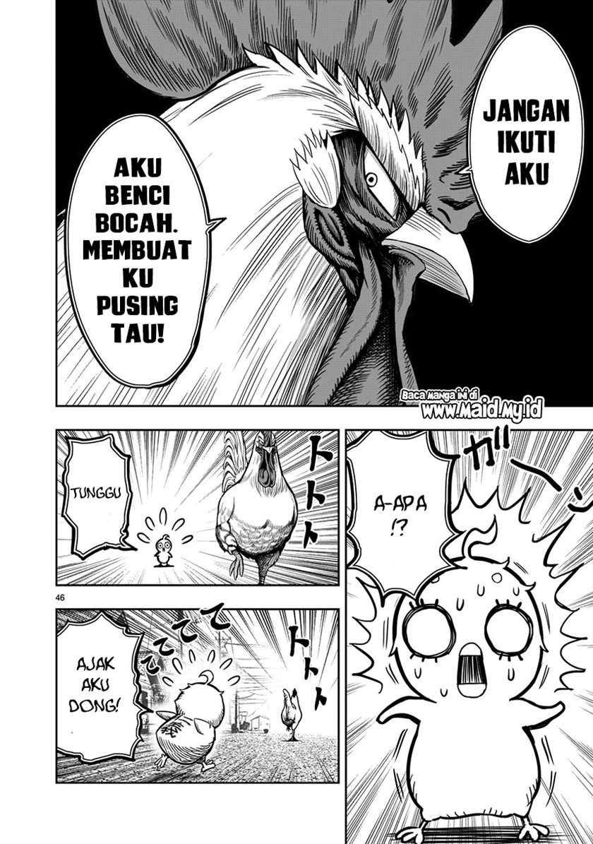 Chapter 5 - halaman 49