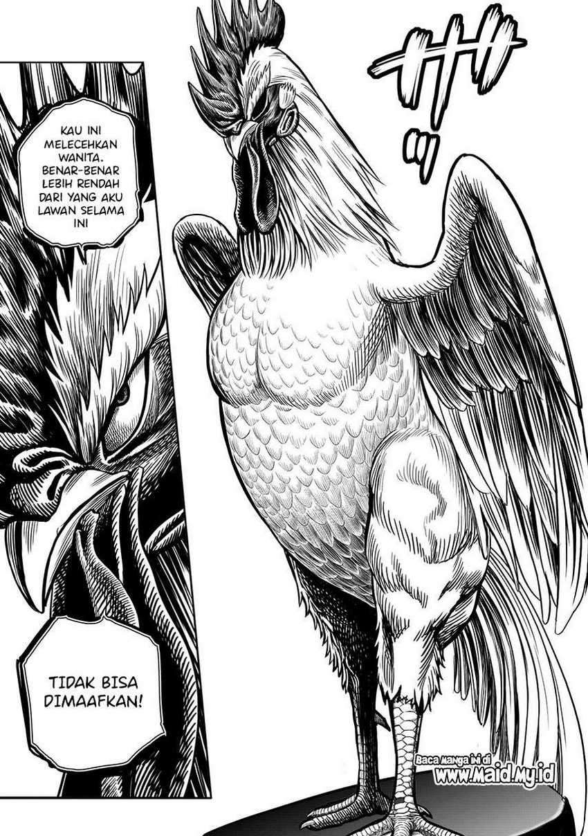 Chapter 6 - halaman 14
