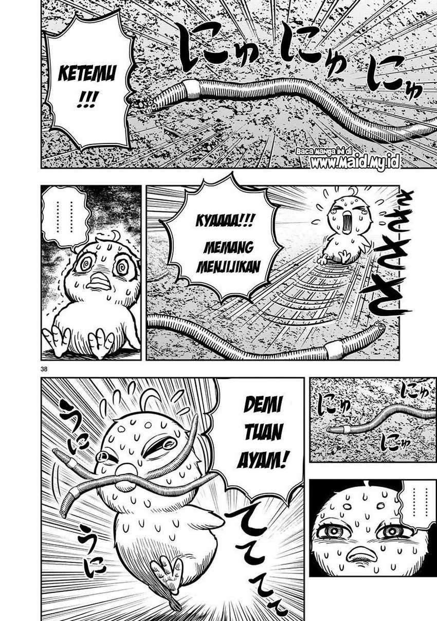 Chapter 6 - halaman 41
