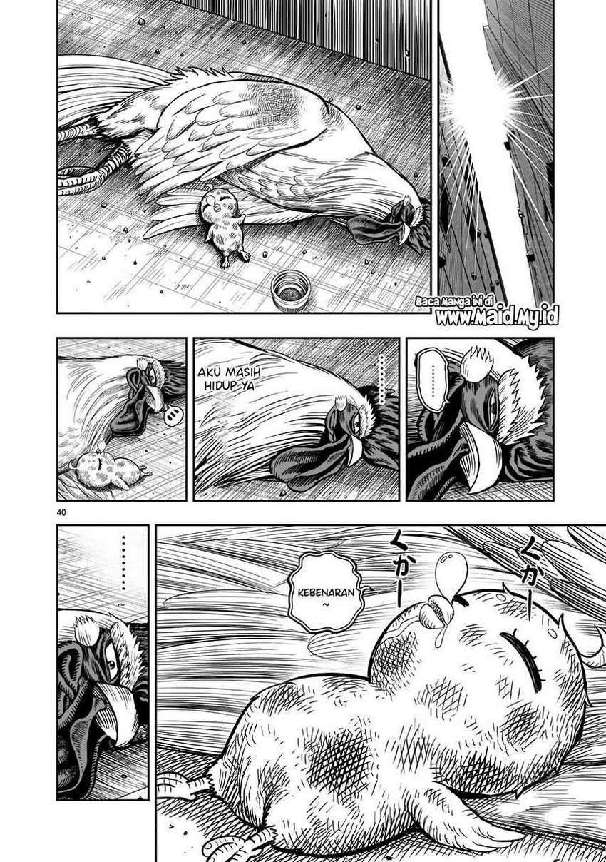Chapter 6 - halaman 43