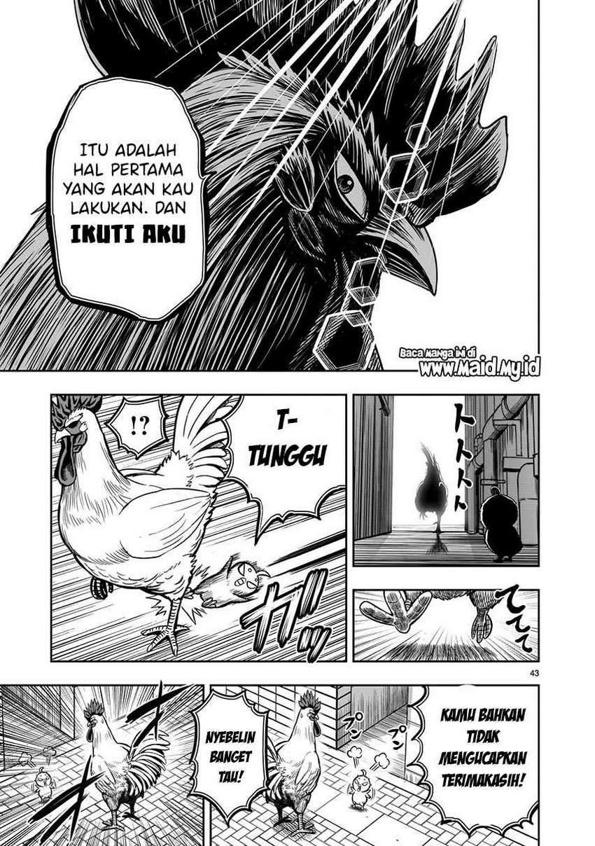 Chapter 6 - halaman 46
