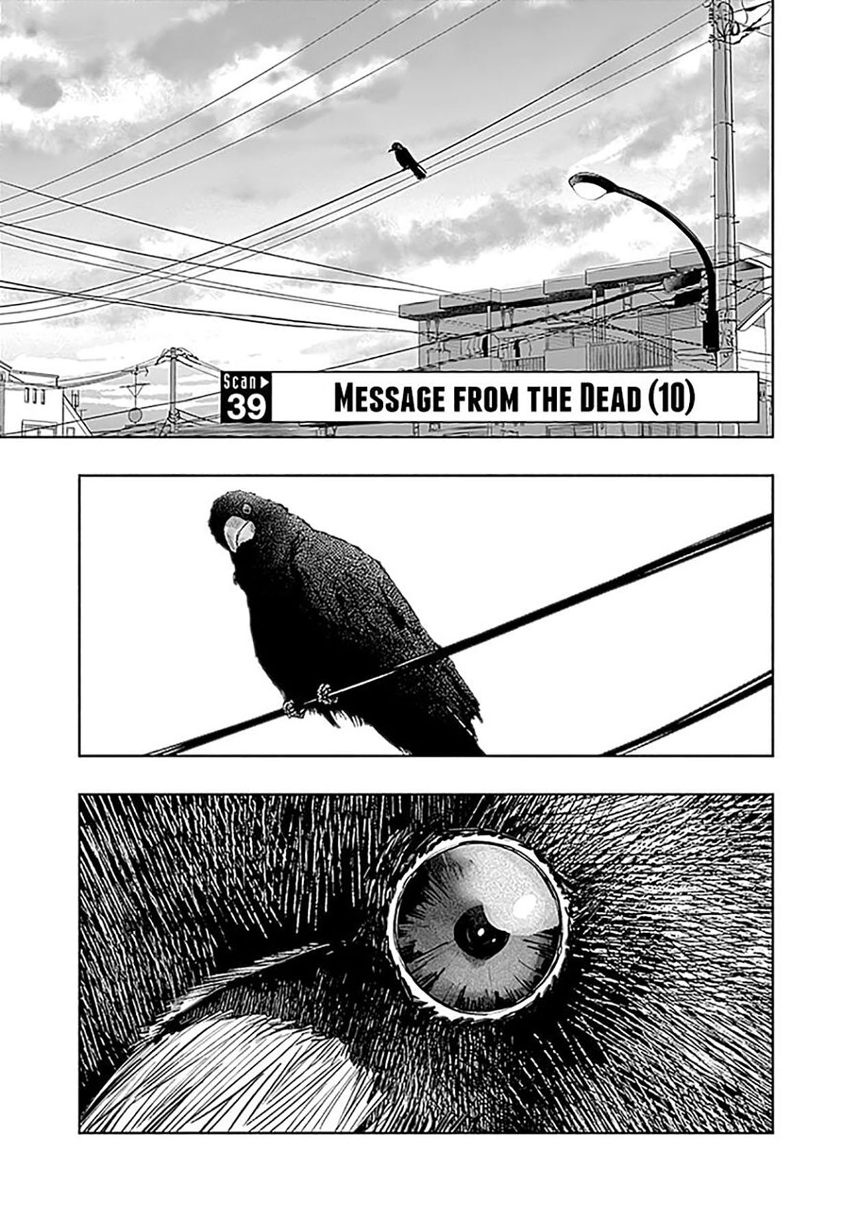 Chapter 39 - halaman 3