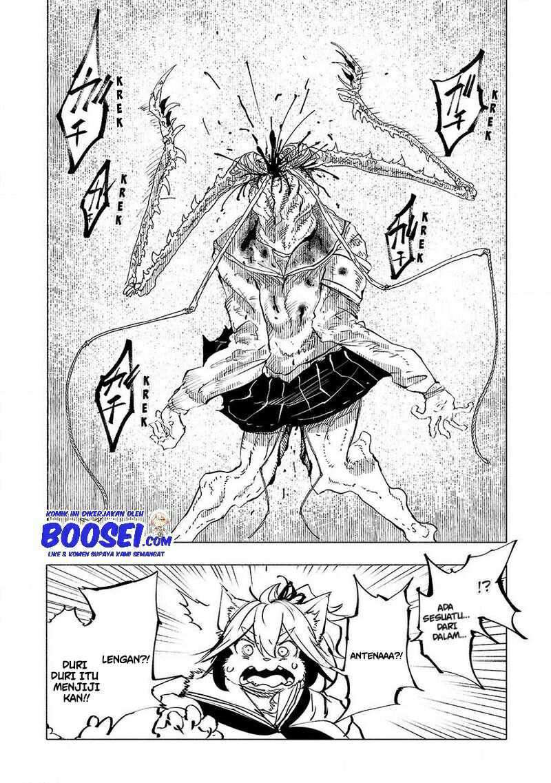 Chapter 47 - halaman 19