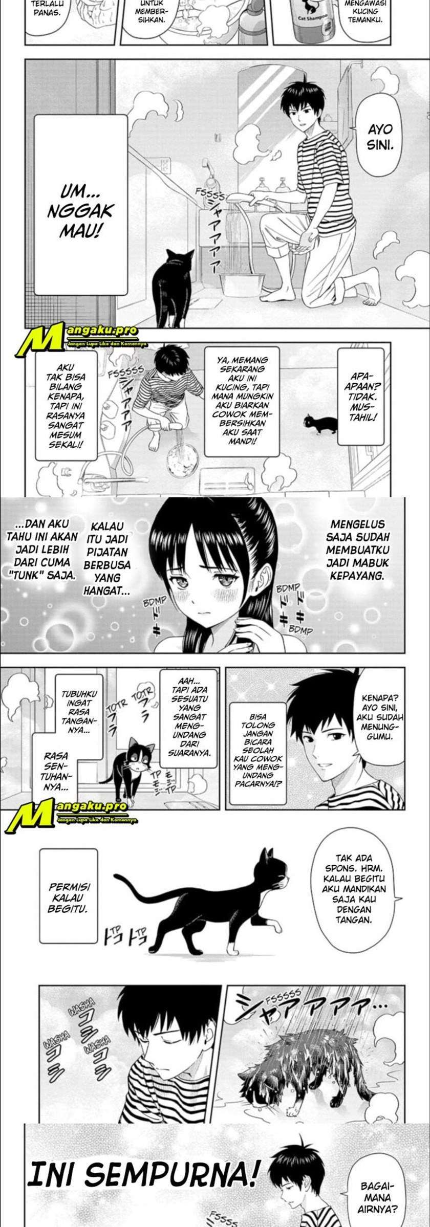 Chapter 21 - halaman 5