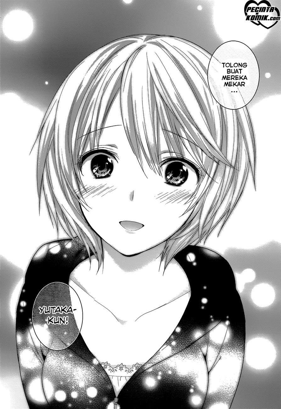 Chapter 2 - halaman 24