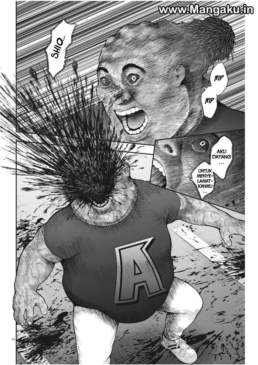 Chapter 42 - halaman 15