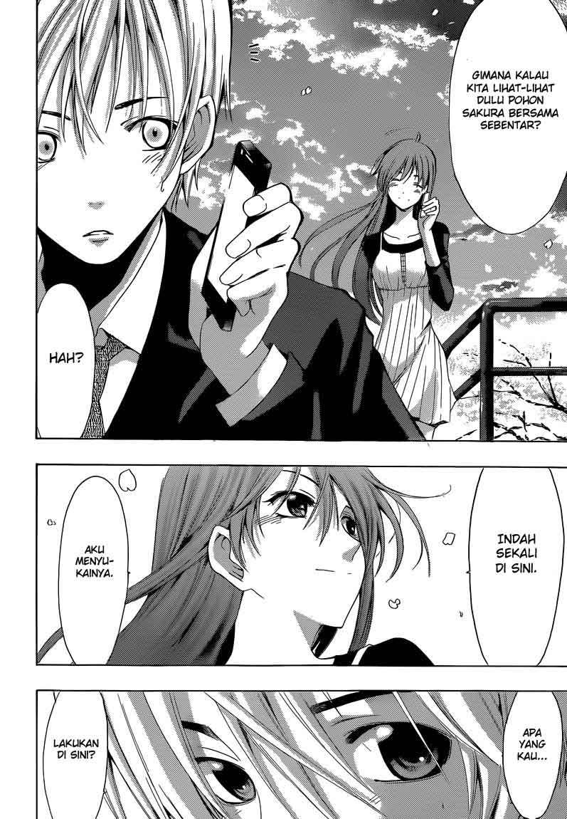Chapter 244 - halaman 19