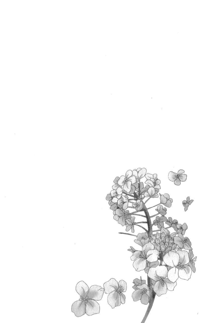 Chapter 4 - halaman 7