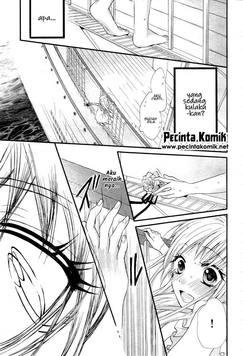 Chapter 2 - halaman 17