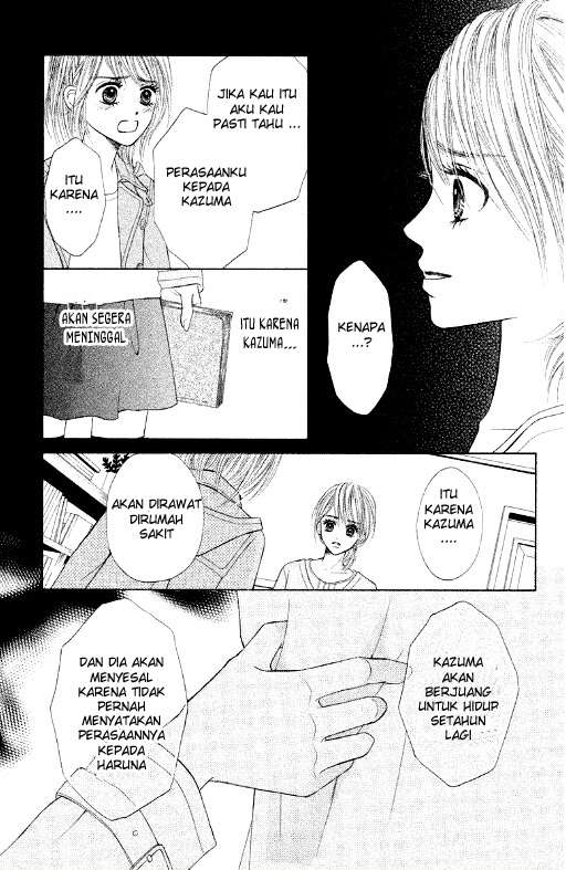 Chapter 3 - halaman 31