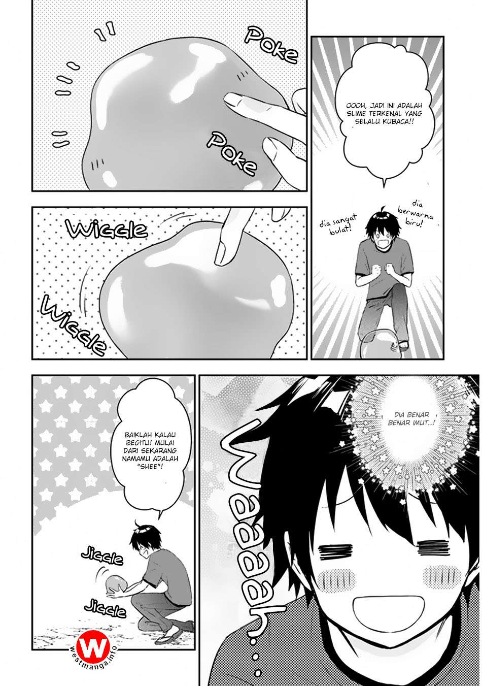 Chapter 2.1 - halaman 9
