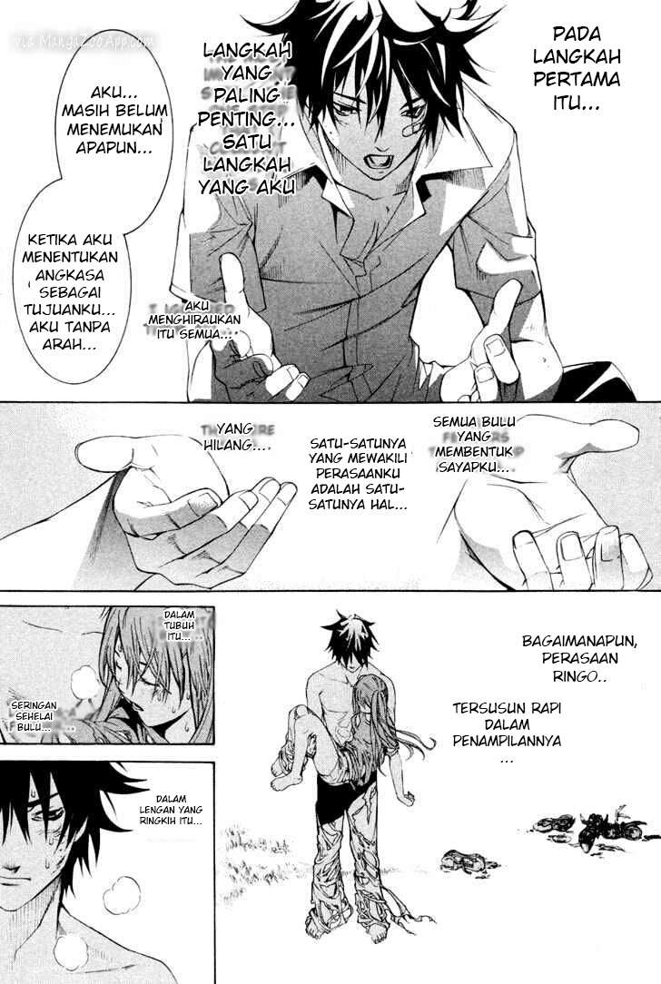 Chapter 141 - halaman 14