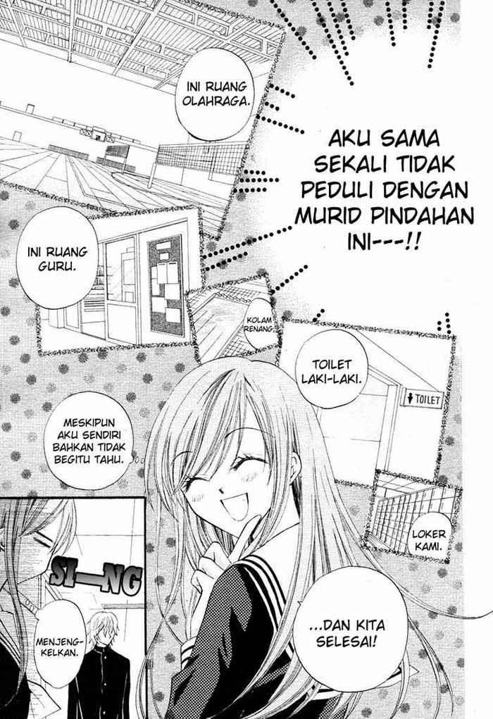 Chapter 12 - halaman 17