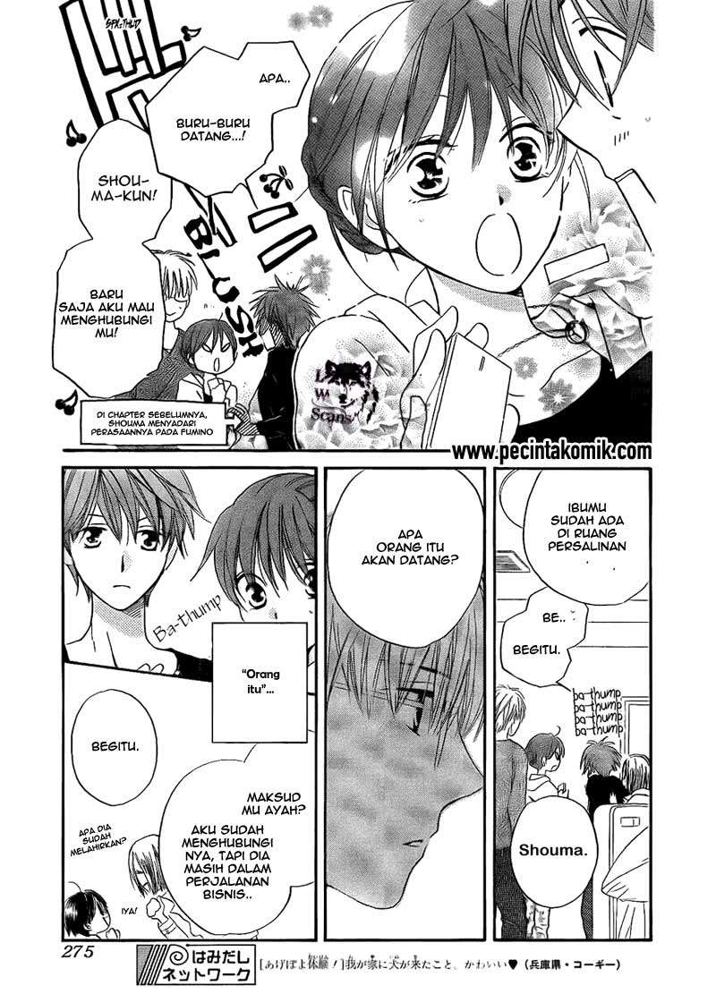 Chapter 47 - halaman 19