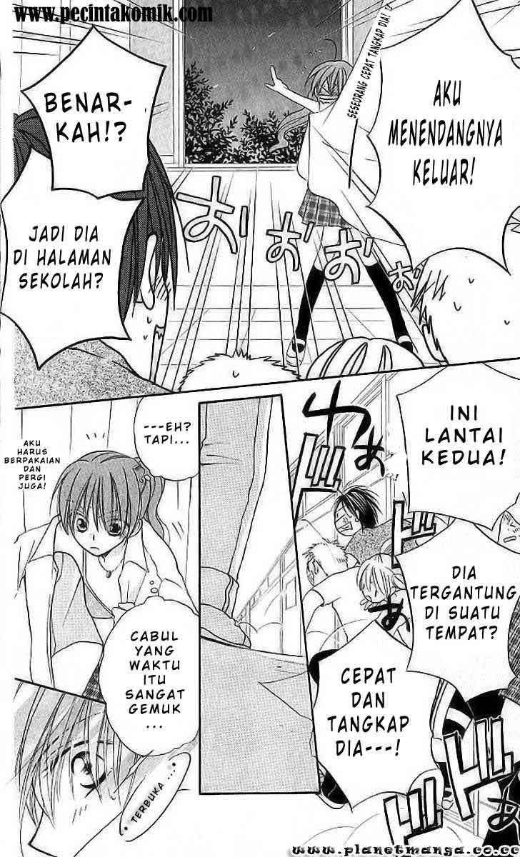 Chapter 8 - halaman 28